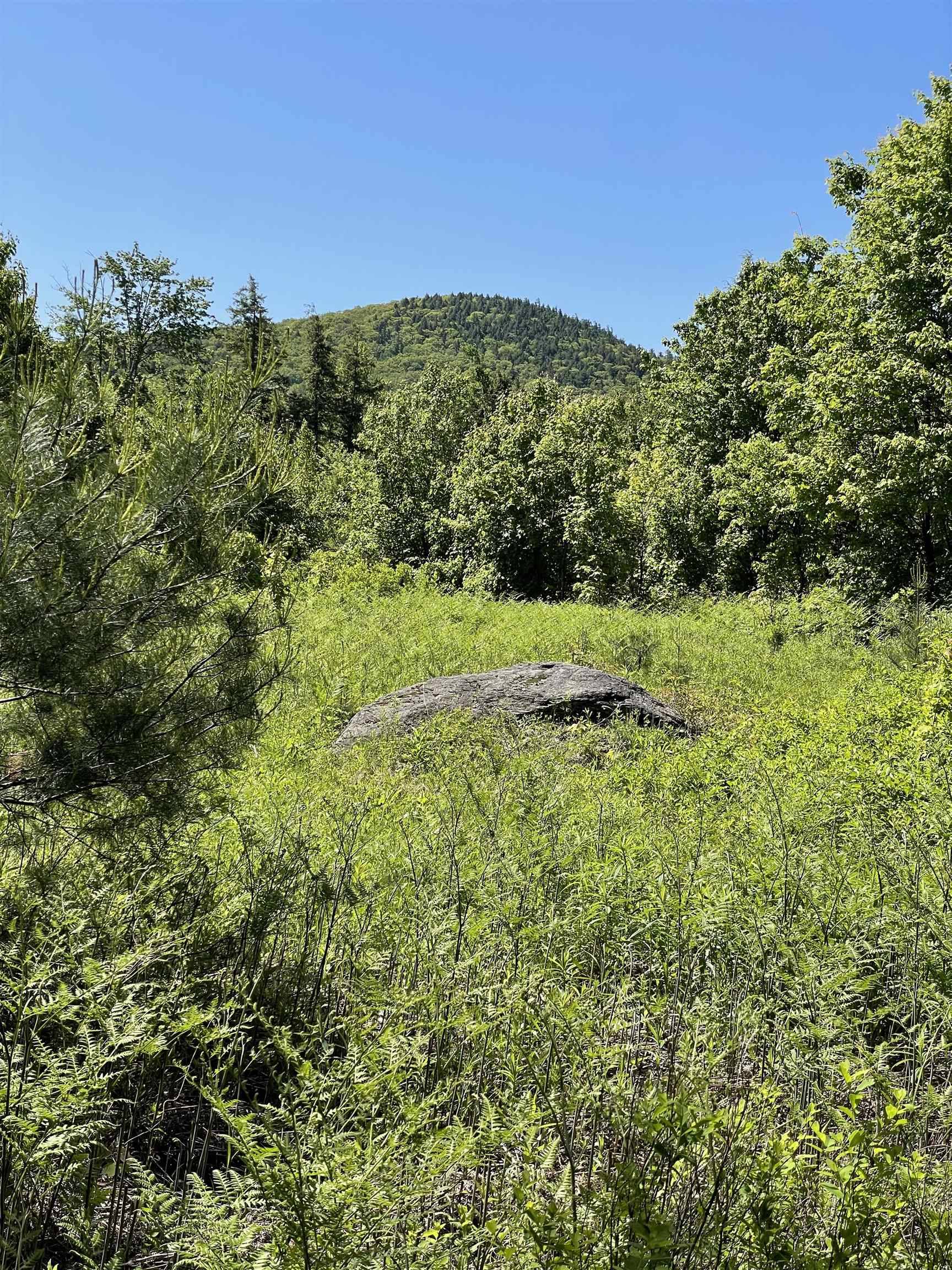 Bradford, NH 03221,* ALDER PLAINS RD