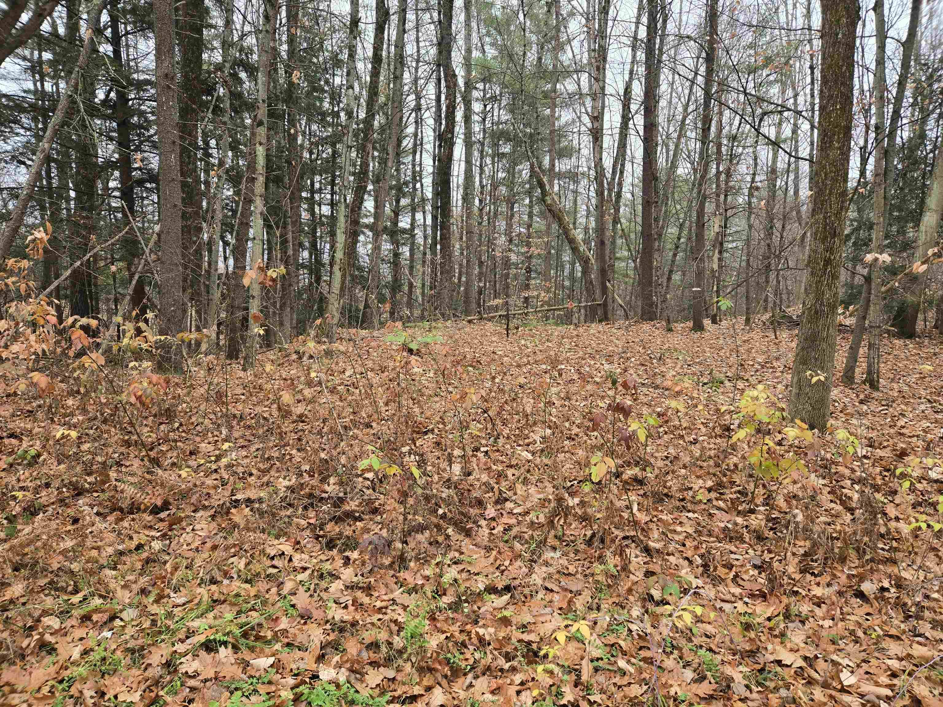 Hartford, VT 05001,Lot 09-195-003 Winsor DR