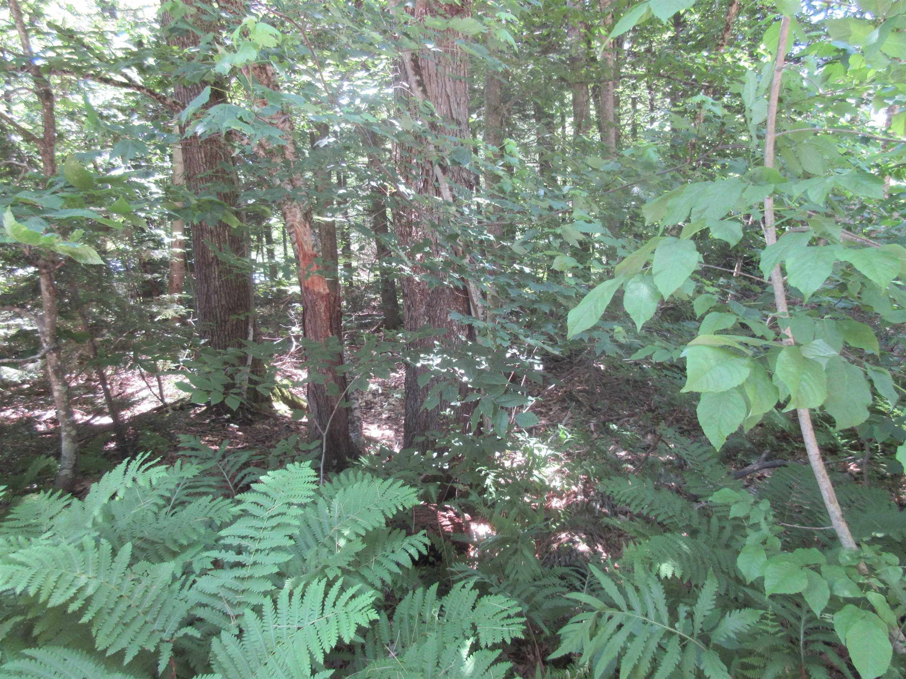 40 Ellen Brook RD, Hillsborough, NH 03244