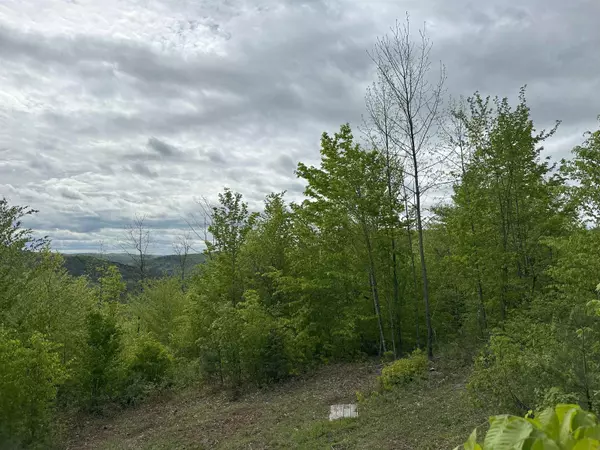 Chelsea, VT 05038,00 Hall RD