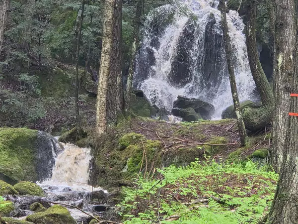 Lowell, VT 05847,132 Cheney RD