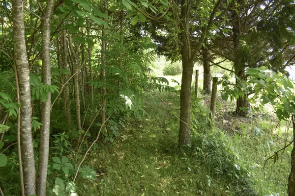 Brandon, VT 05733,71 Maple ST