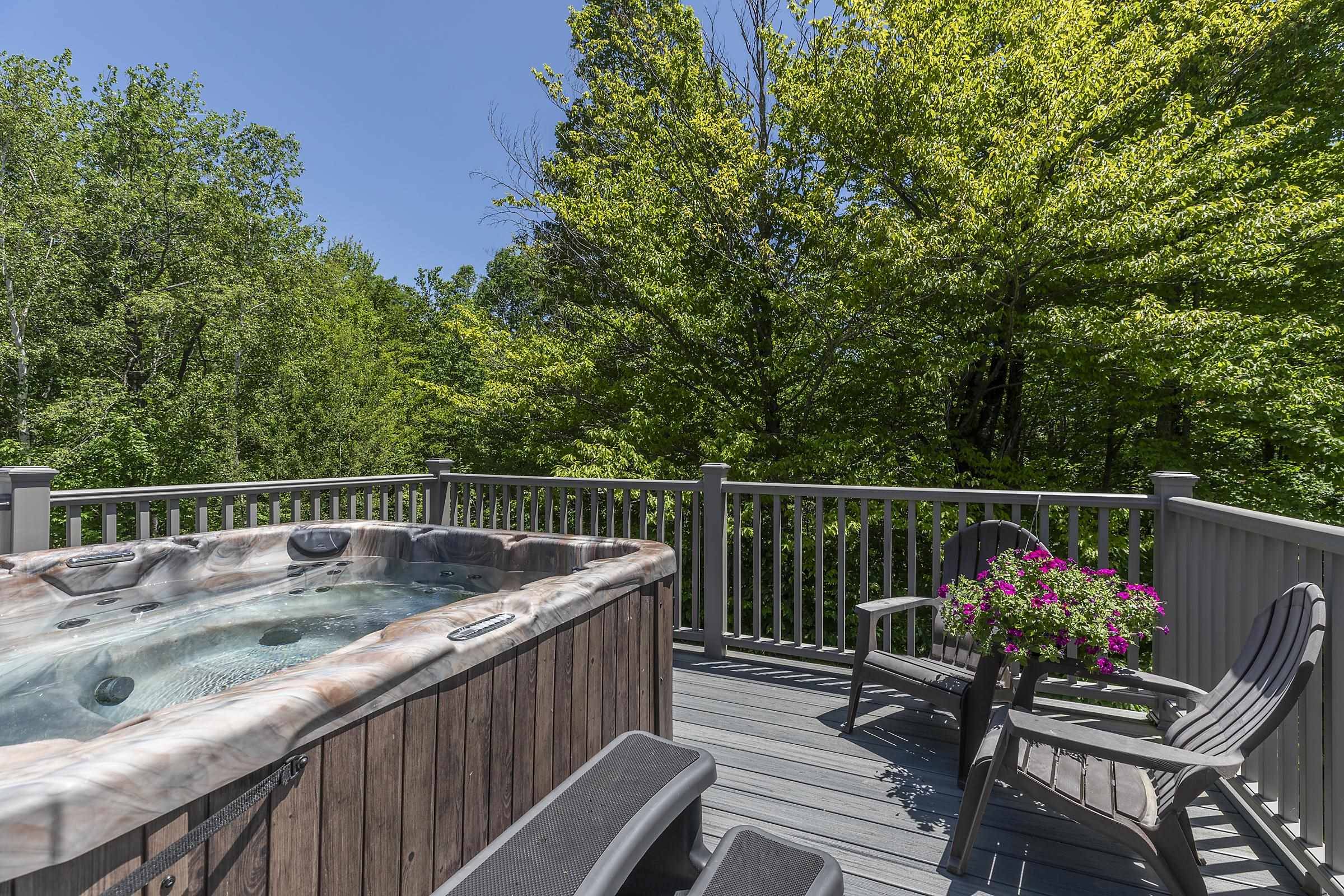 Stratton, VT 05155,65 Styles Branch RD #819B