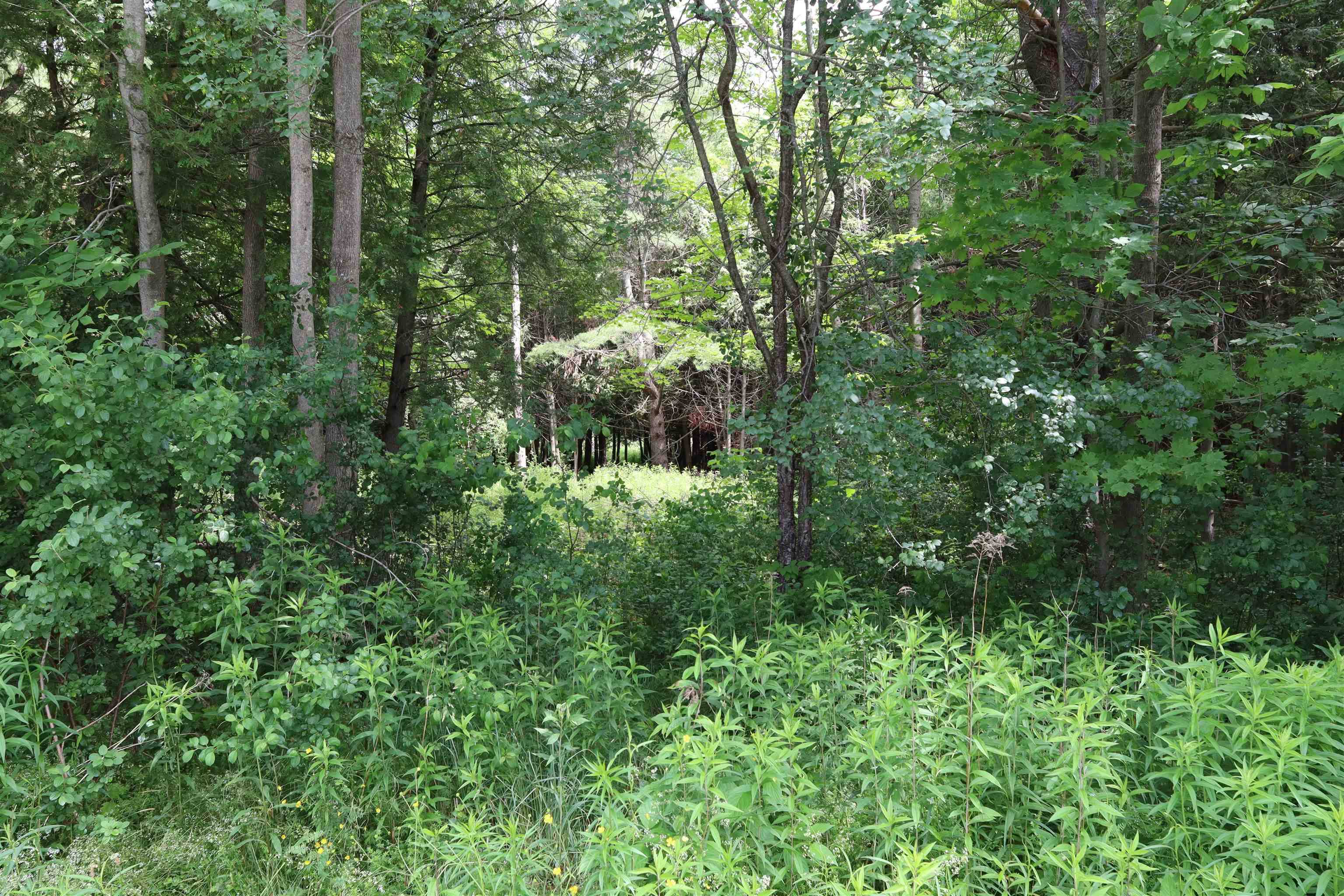 Barre Town, VT 05641,00 Richardson RD