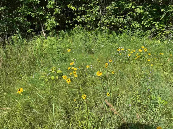 TBD Holman RD, Salisbury, VT 05769