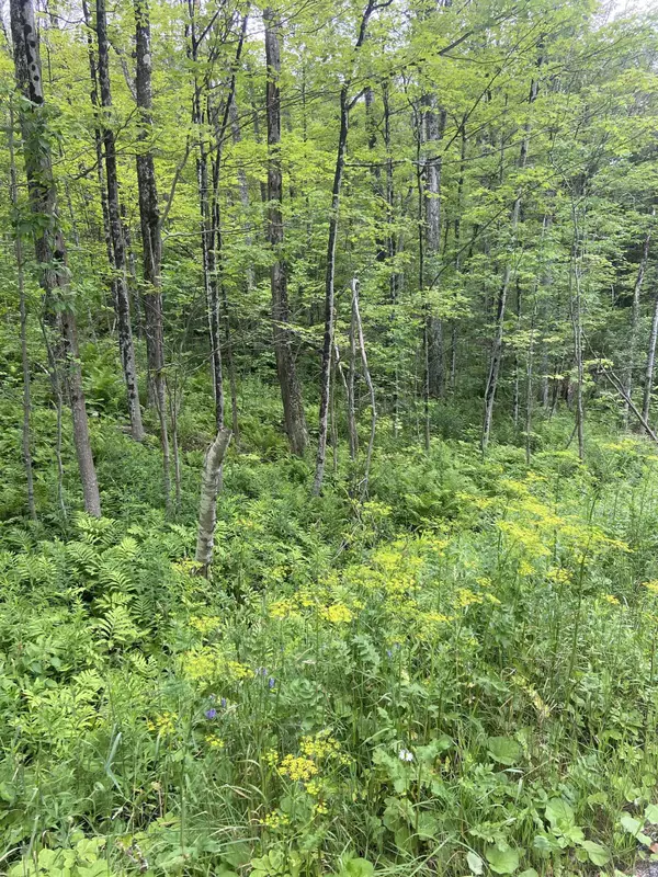 Jamaica, VT 05343,0 Route 30