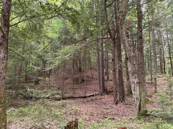 Londonderry, VT 05148,192 Pingree Park LN #4