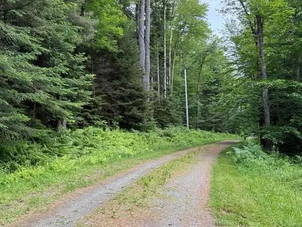 Londonderry, VT 05148,192 Pingree Park LN #4