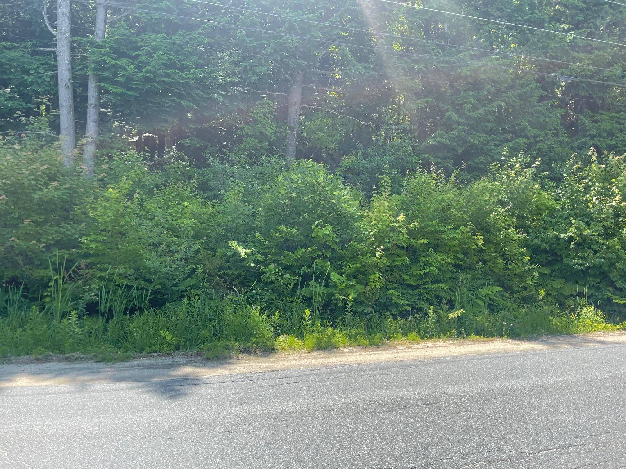 Springfield, NH 03284,Stoney Brook RD
