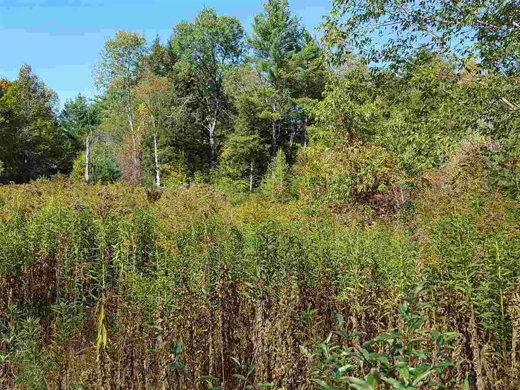 Lyme, NH 03768,80 North Thetford RD #8