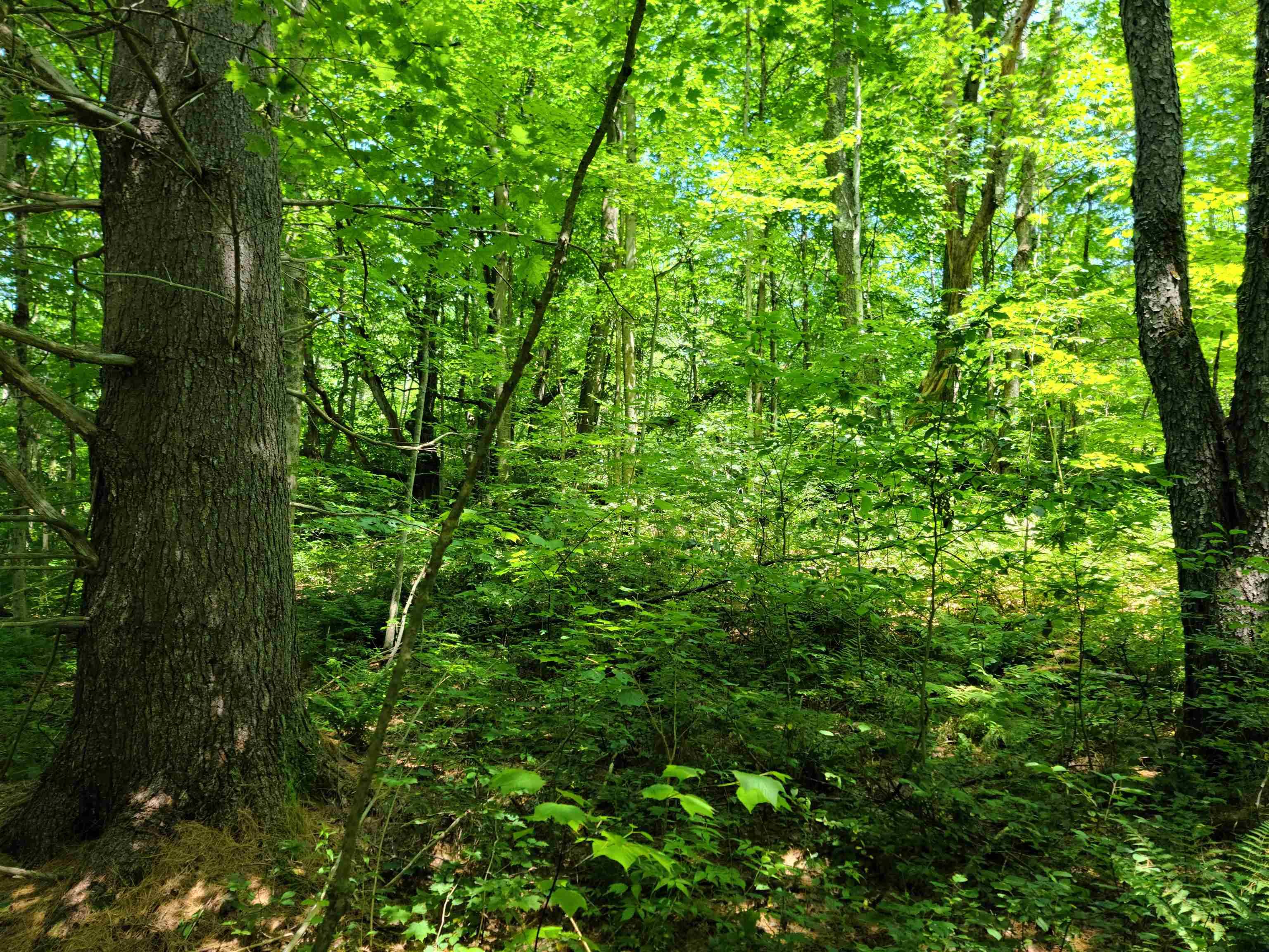 Rochester, VT 05767,868 Maple HL #T-6 (Tarbett Sector)