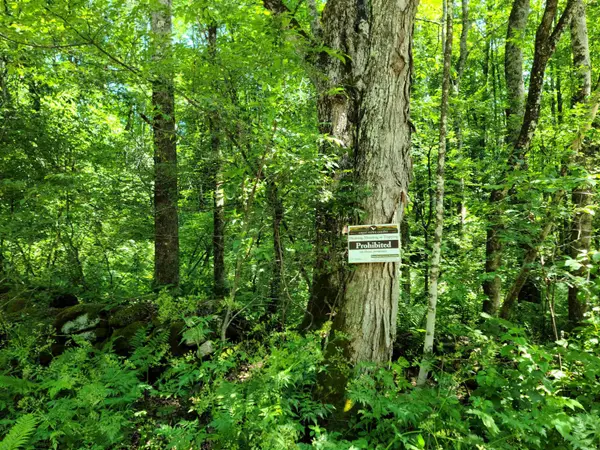 Rochester, VT 05767,868 Maple HL #T-6 (Tarbett Sector)