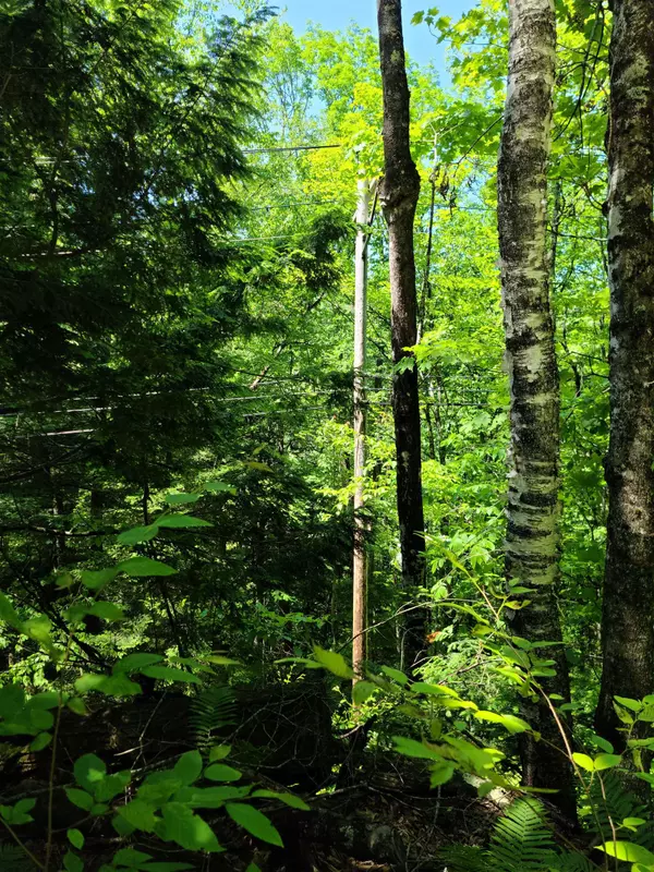 Rochester, VT 05767,868 Maple HL #T-6 (Tarbett Sector)