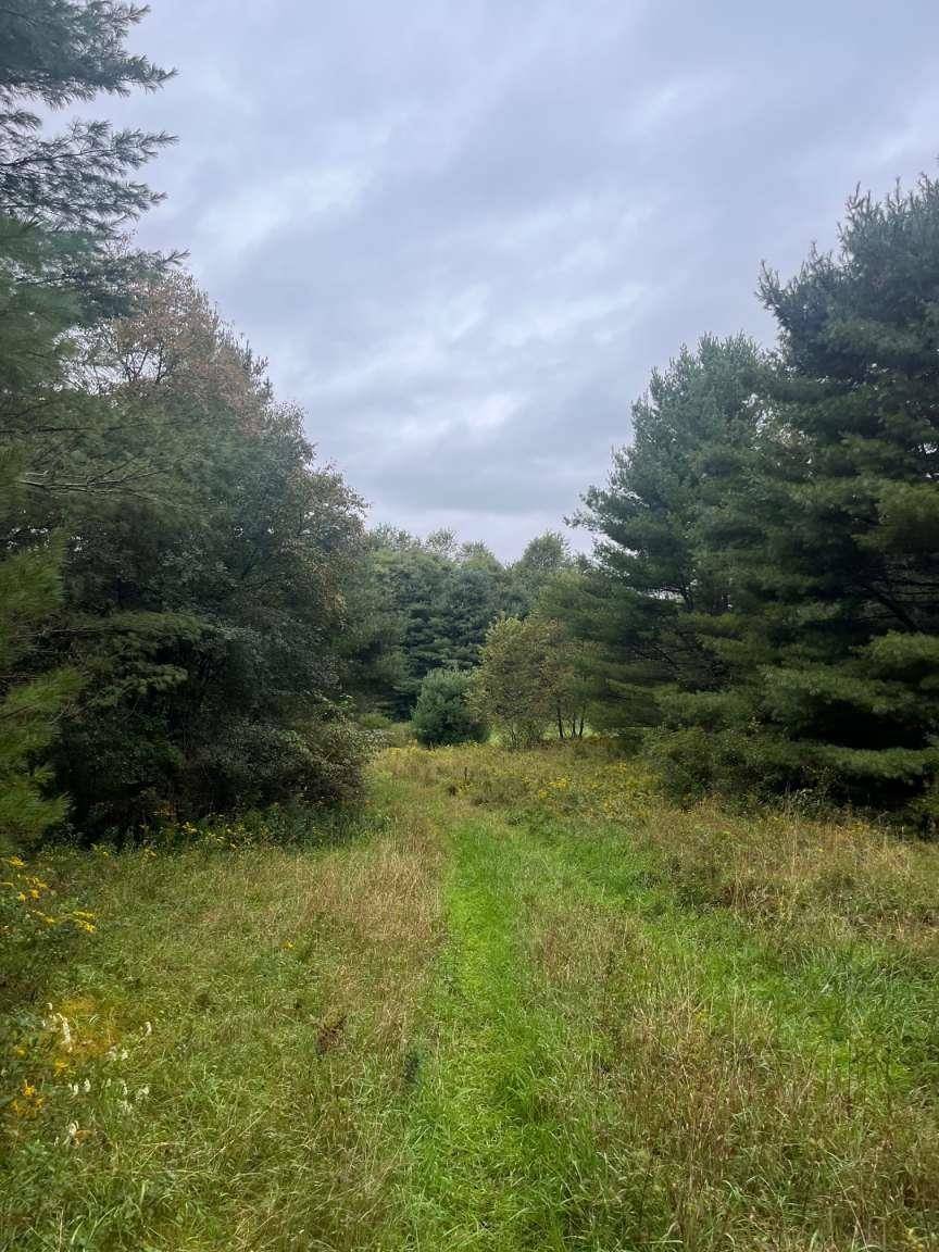 East Montpelier, VT 05651,0 East Hill RD