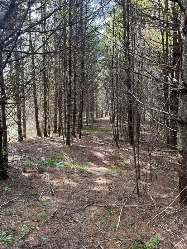 East Montpelier, VT 05651,0 East Hill RD