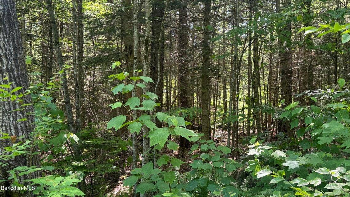 Stamford, VT 05352,0 Oberdorf RD #275