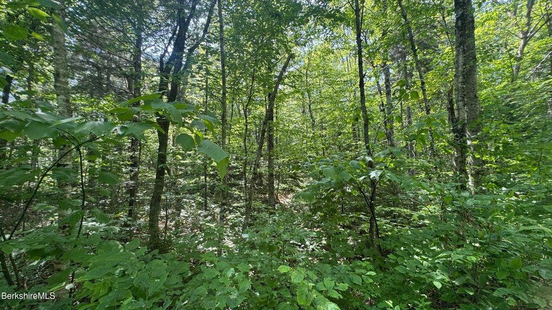 Stamford, VT 05352,0 Oberdorf RD #275