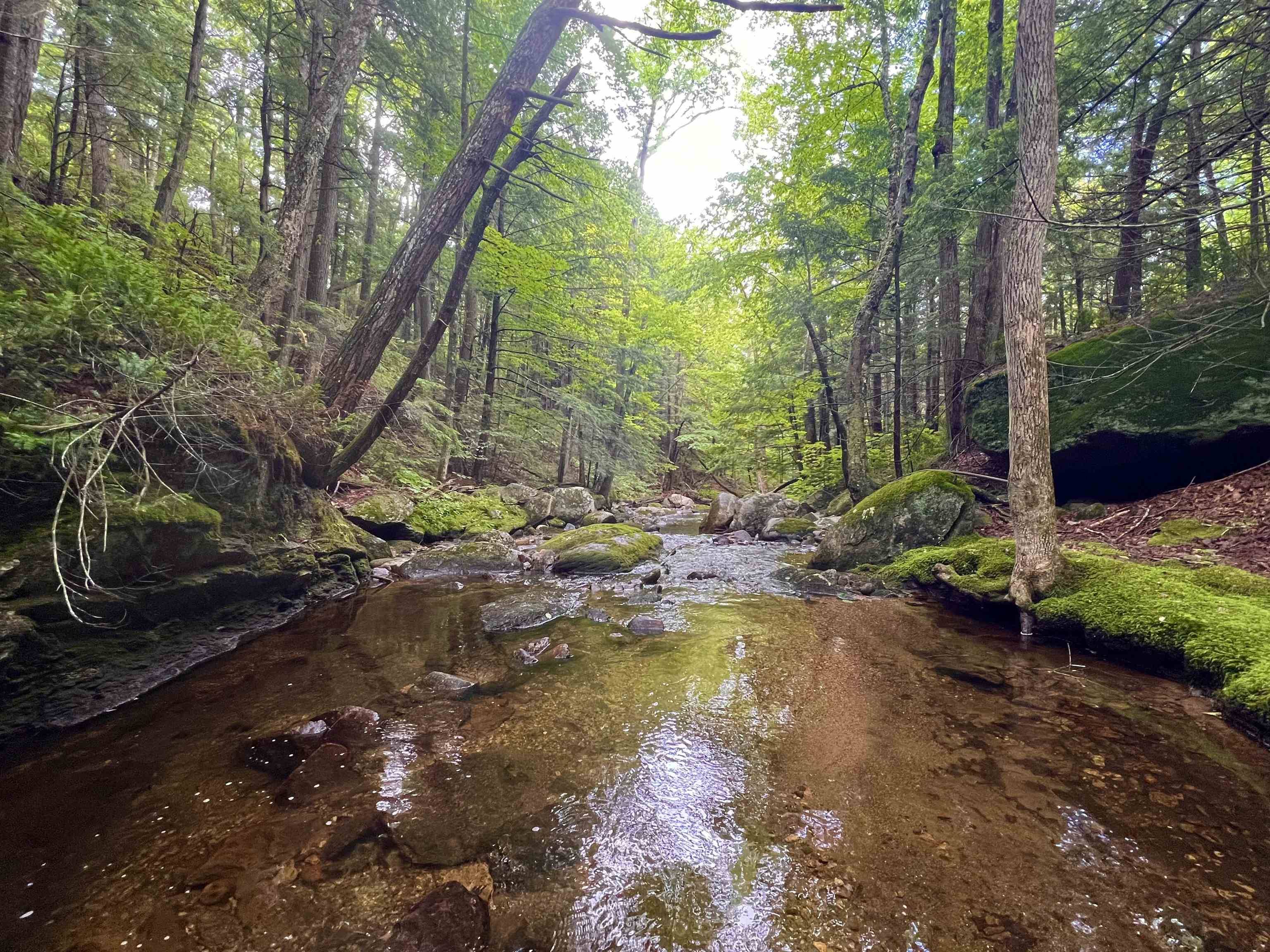 567 & Lot 13-98 Wild Meadow RD, Grafton, NH 03240