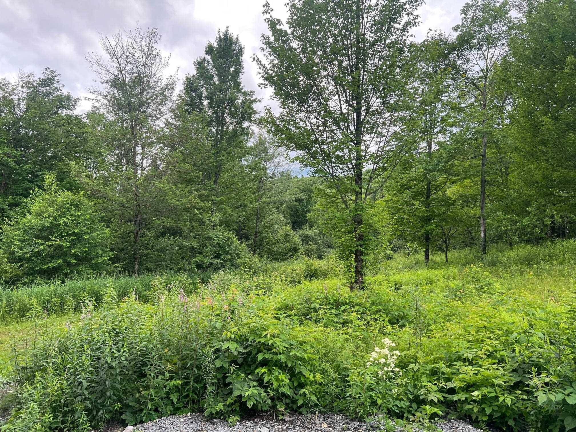 Pittsburg, NH 03592,50 Town Farm RD