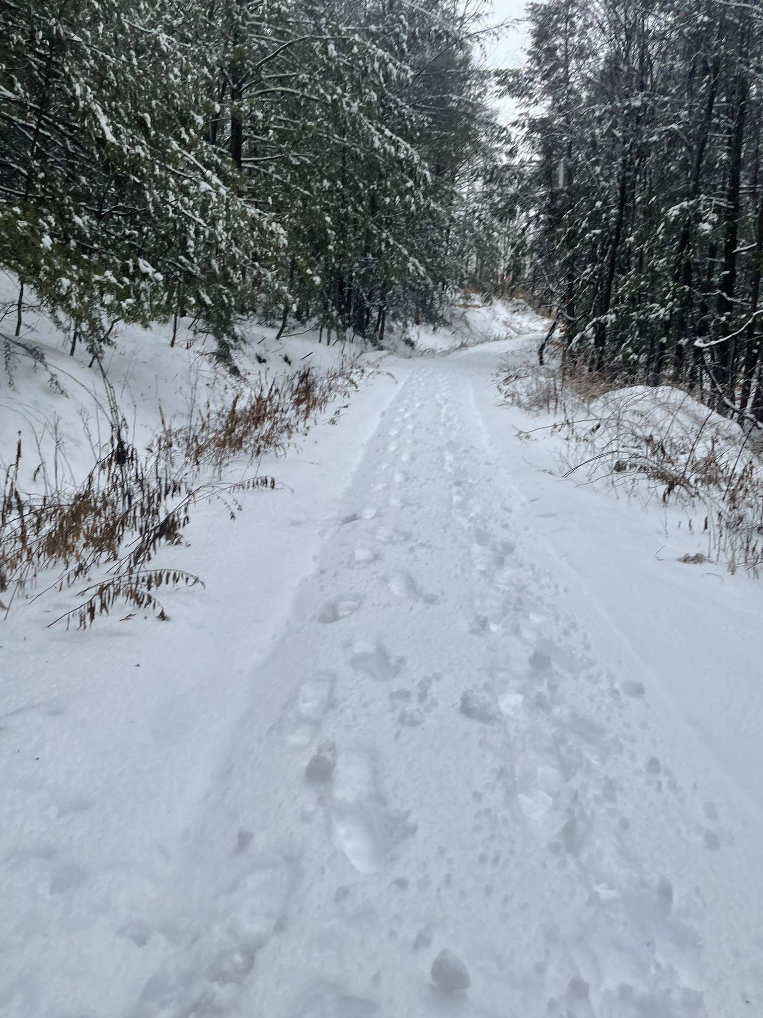 Guilford, VT 05301,1270 Melendy Hill RD