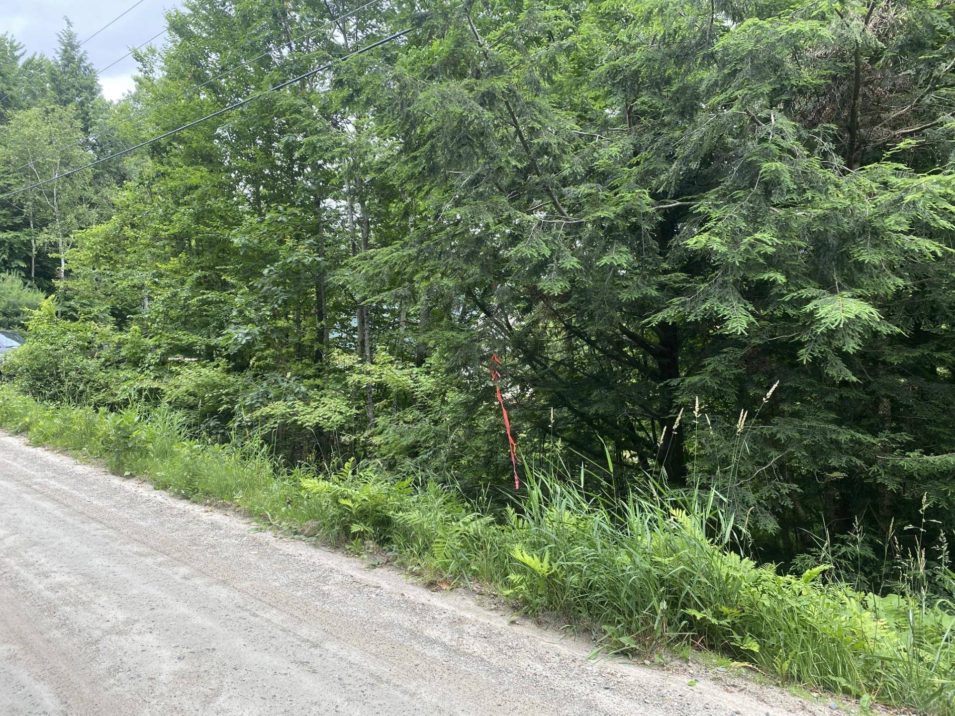 Haverhill, NH 03765,Lakeside DR #224