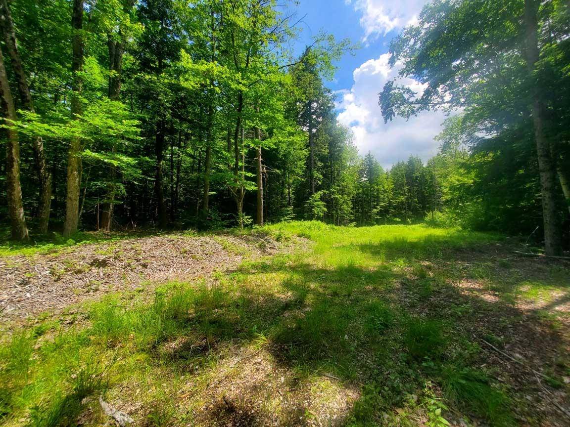 New Hampton, NH 03256,Gordon Hill RD #2