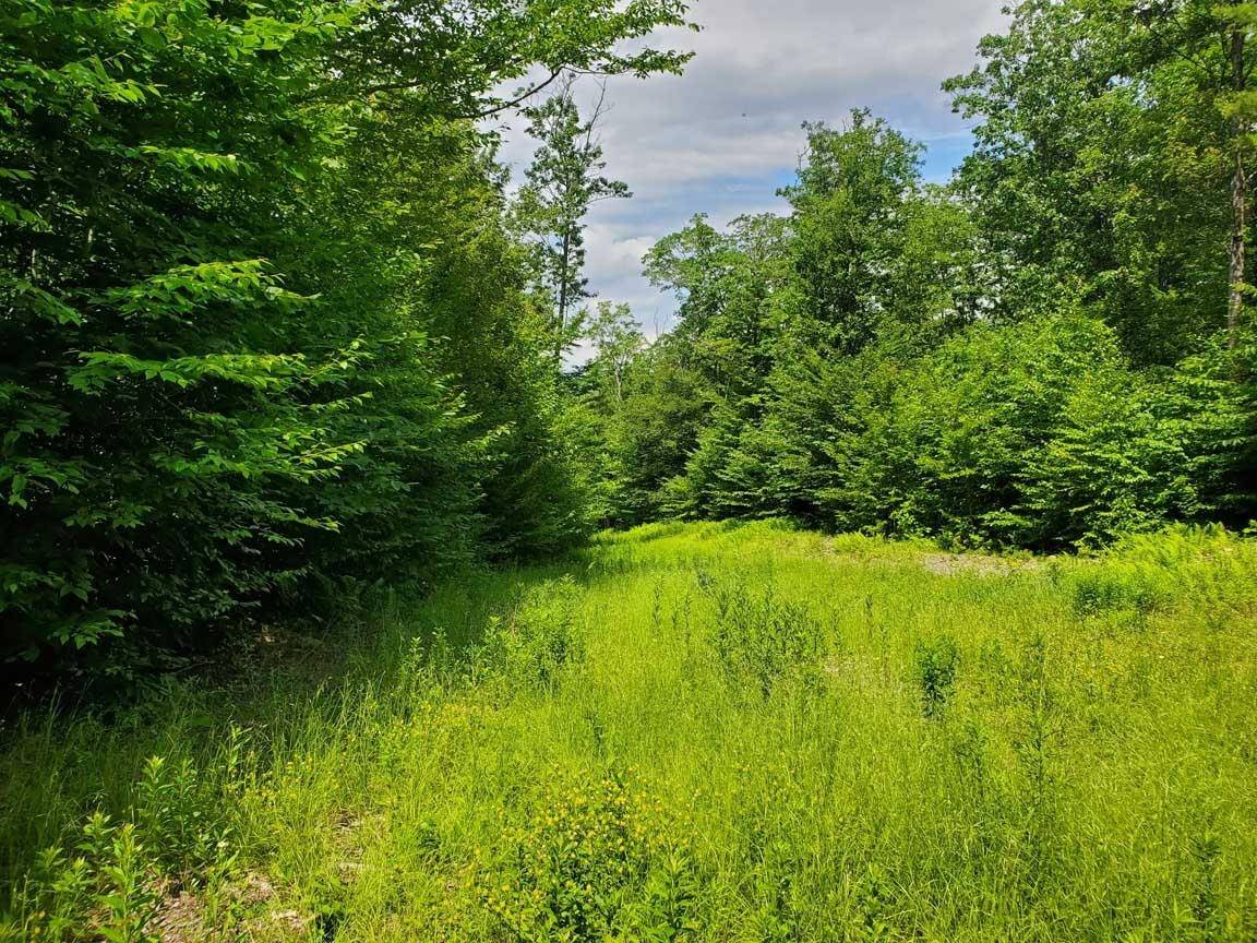 New Hampton, NH 03256,Gordon Hill RD #2