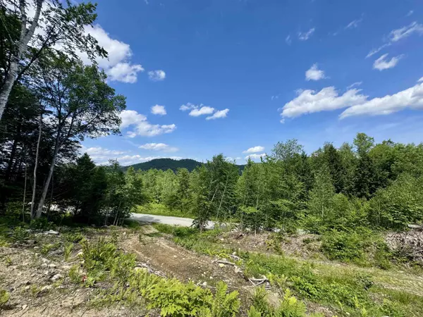 Chester, VT 05143,0 Remington RD #7