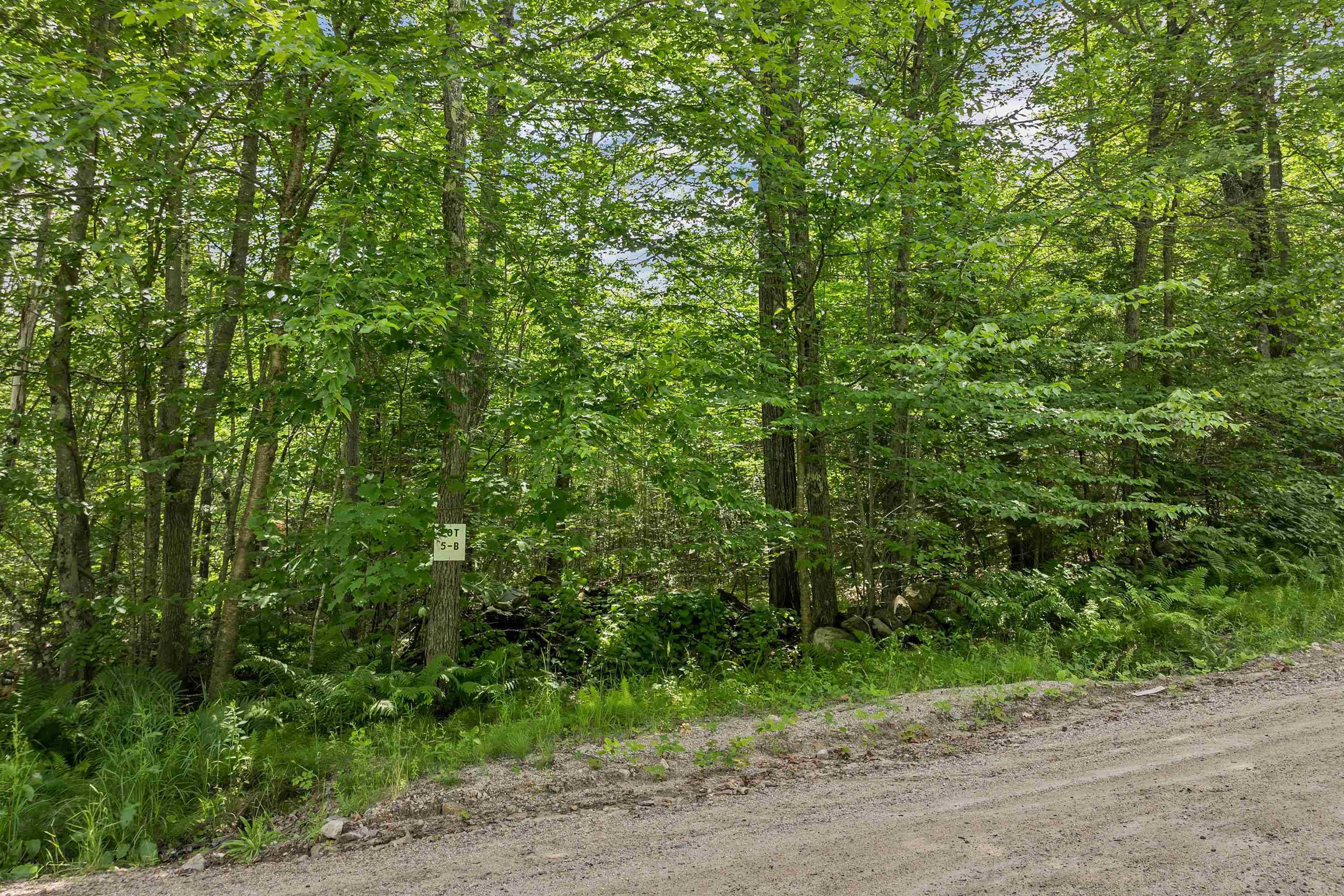 Tuftonboro, NH 03816,005A Phineas Graves RD #005A