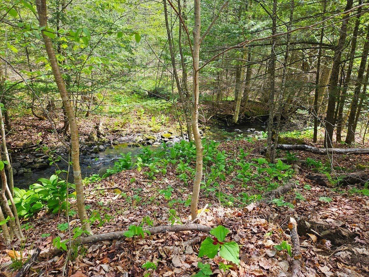 Berkshire, VT 05476,1367 Berry RD