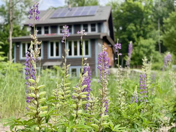 Address Not Disclosed