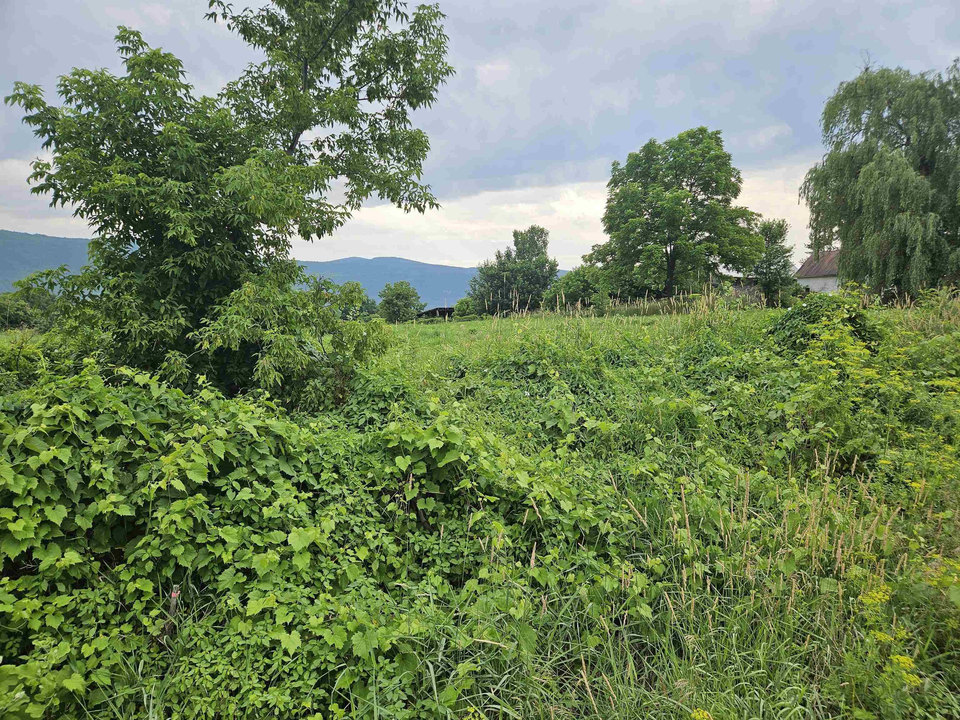 1726 Munger ST, Middlebury, VT 05753