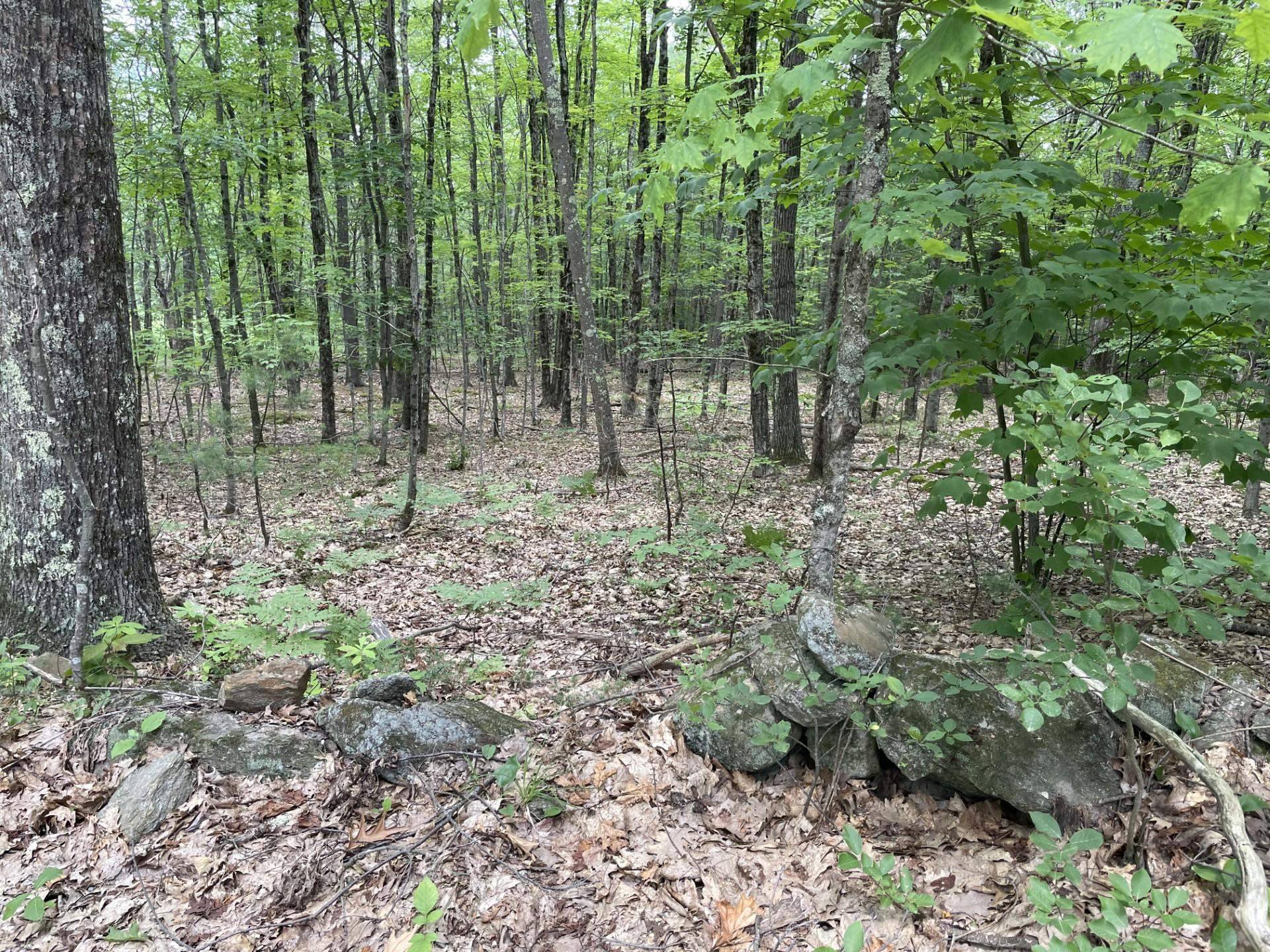 Barnstead, NH 03225,956 N Barnstead RD
