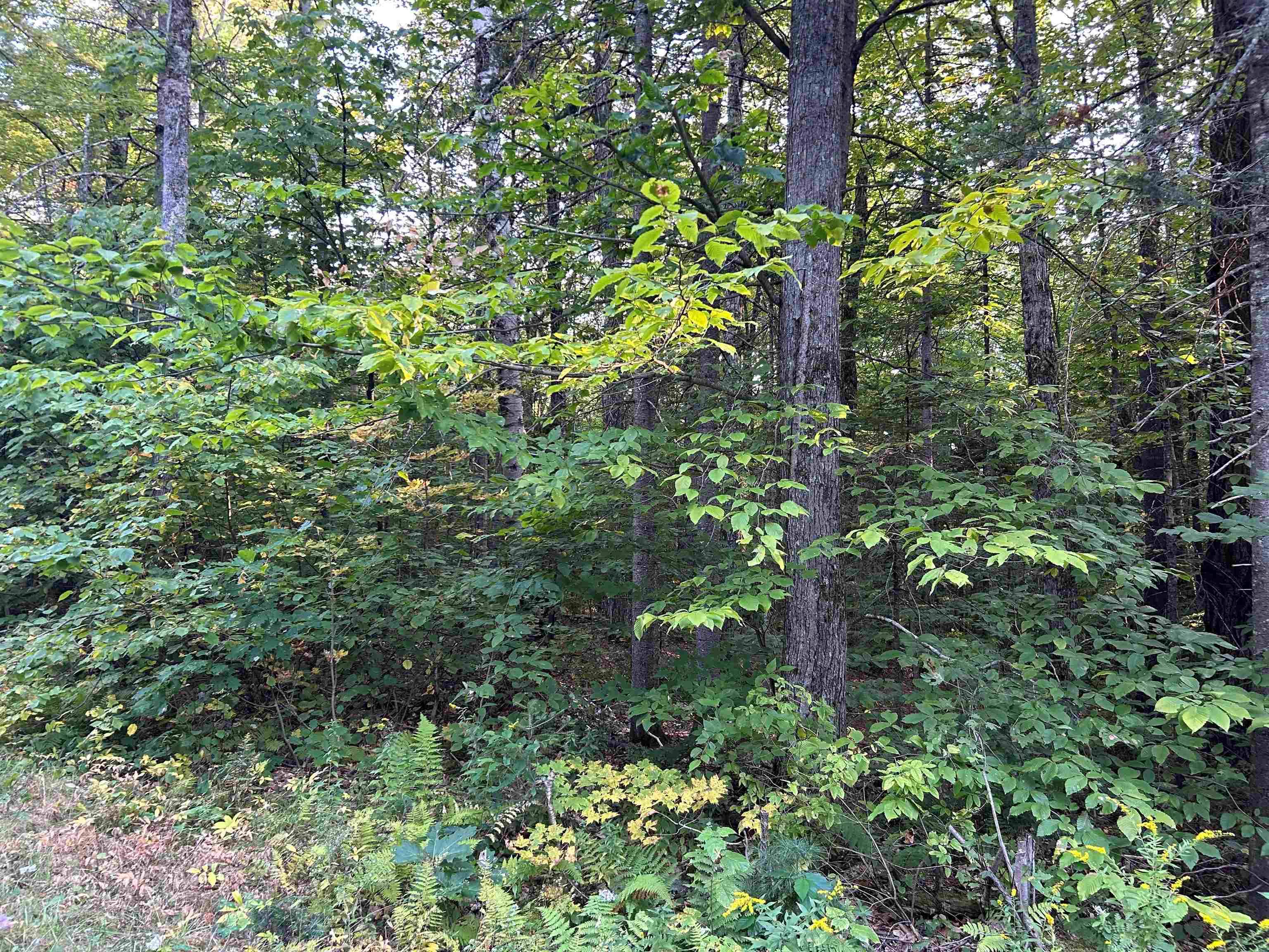 Londonderry, VT 05148,0 Loon CIR