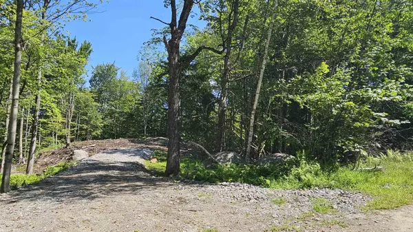 Washington, NH 03280,M14 L383 Buchanan CIR