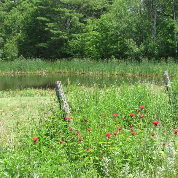 Unity, NH 03773,616 Lear Hill RD