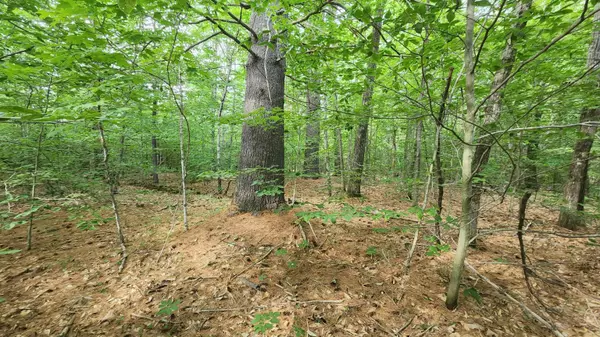 TBD Middle Route, Gilmanton, NH 03237