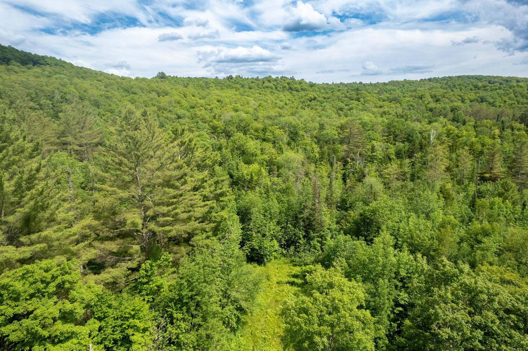 Strafford, VT 05072,230 Taylor Valley RD
