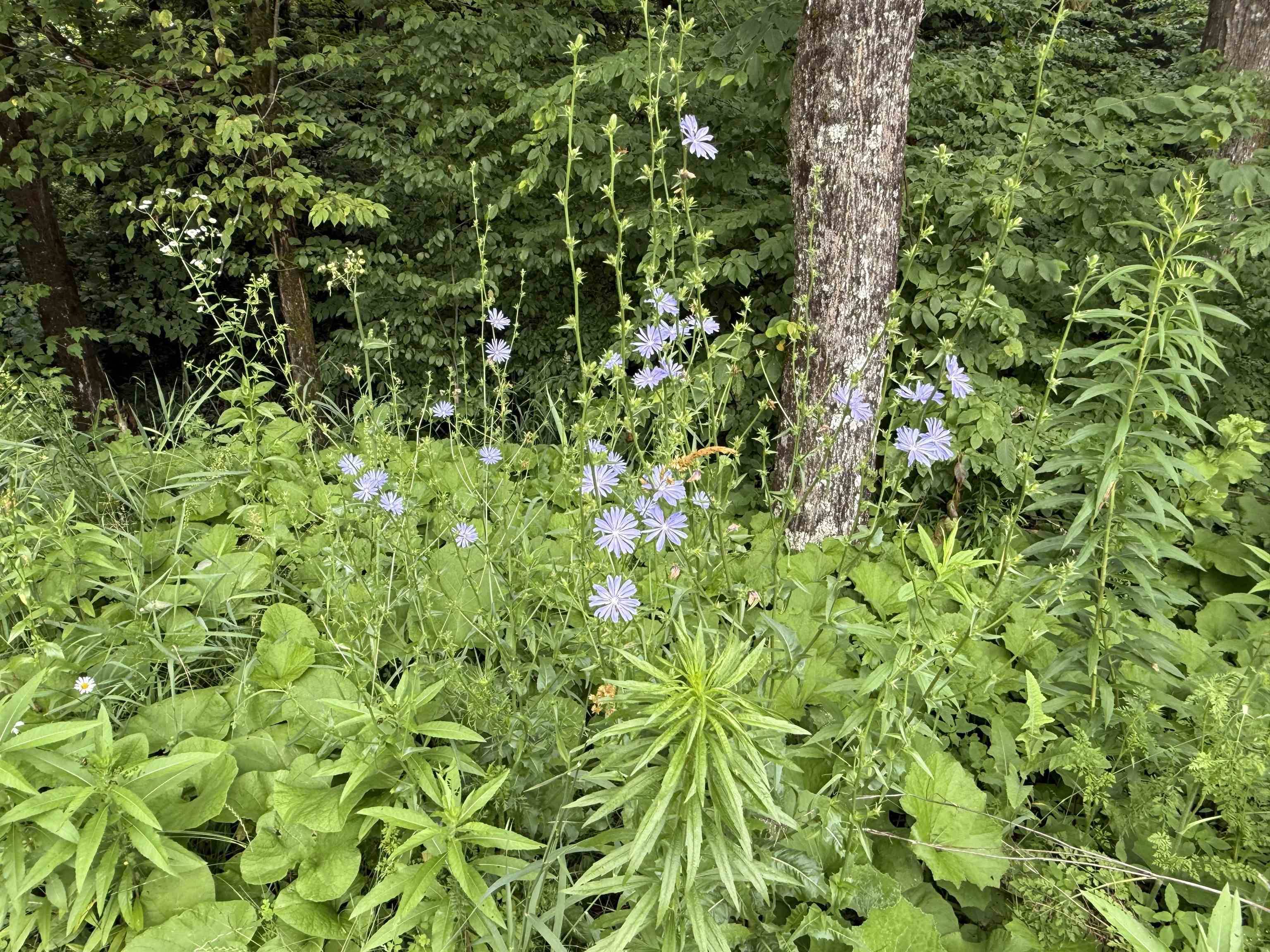 Fairfax, VT 05454,46 Hidden Valley RD