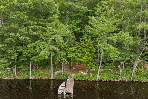 Alton, NH 03810,103 Alton Shores RD