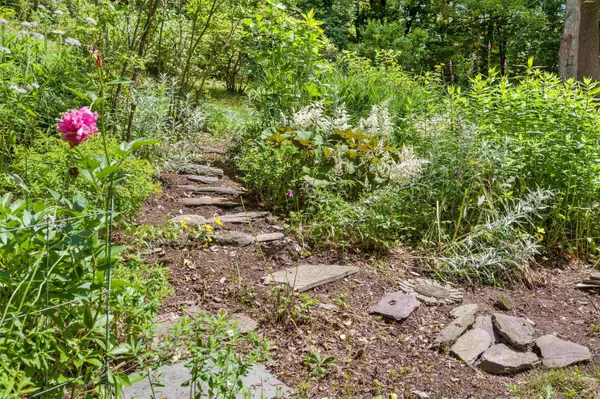 Berlin, VT 05602,81 American Chestnut WAY