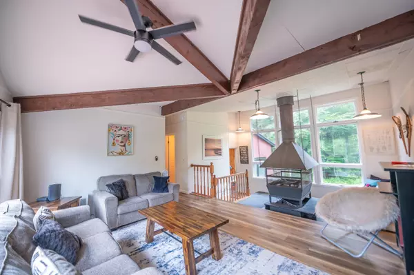 45 Blue Brook RD, Dover, VT 05356