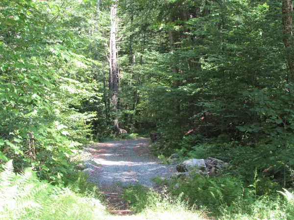 Jamaica, VT 05343,oos-65-13 Partridge LN