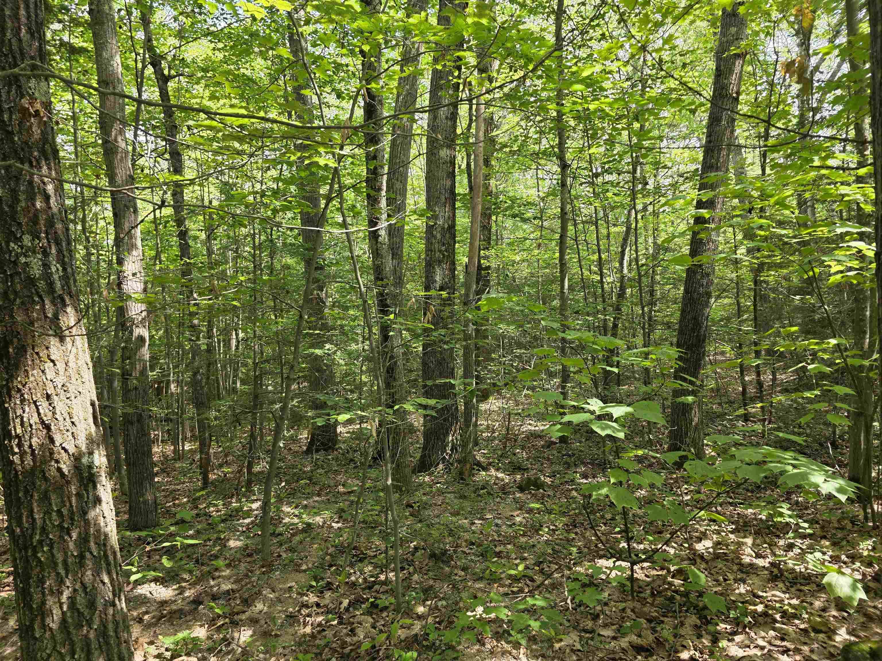00 Reed Carr RD, Antrim, NH 03440