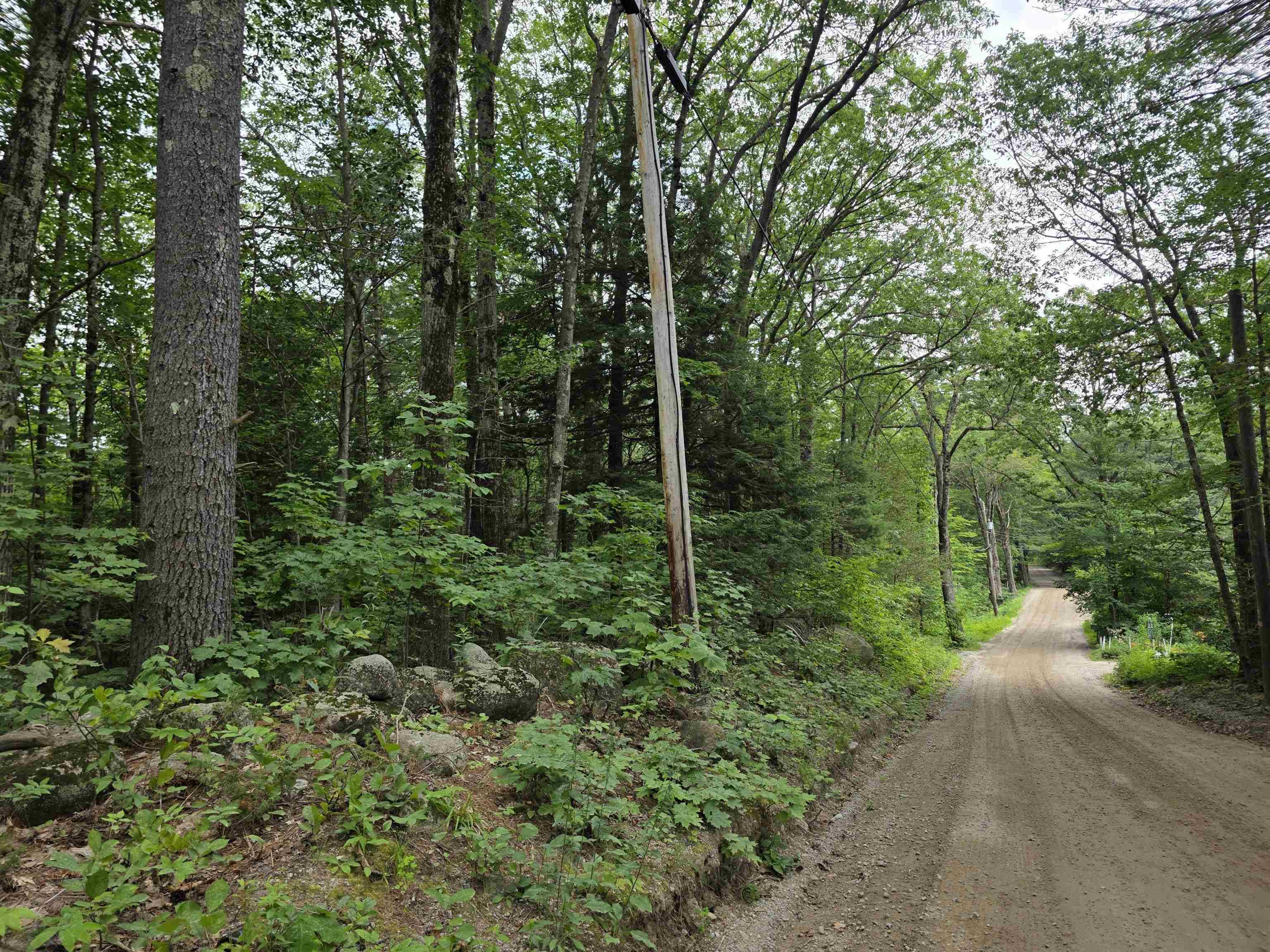 Antrim, NH 03440,0 Reed Carr RD