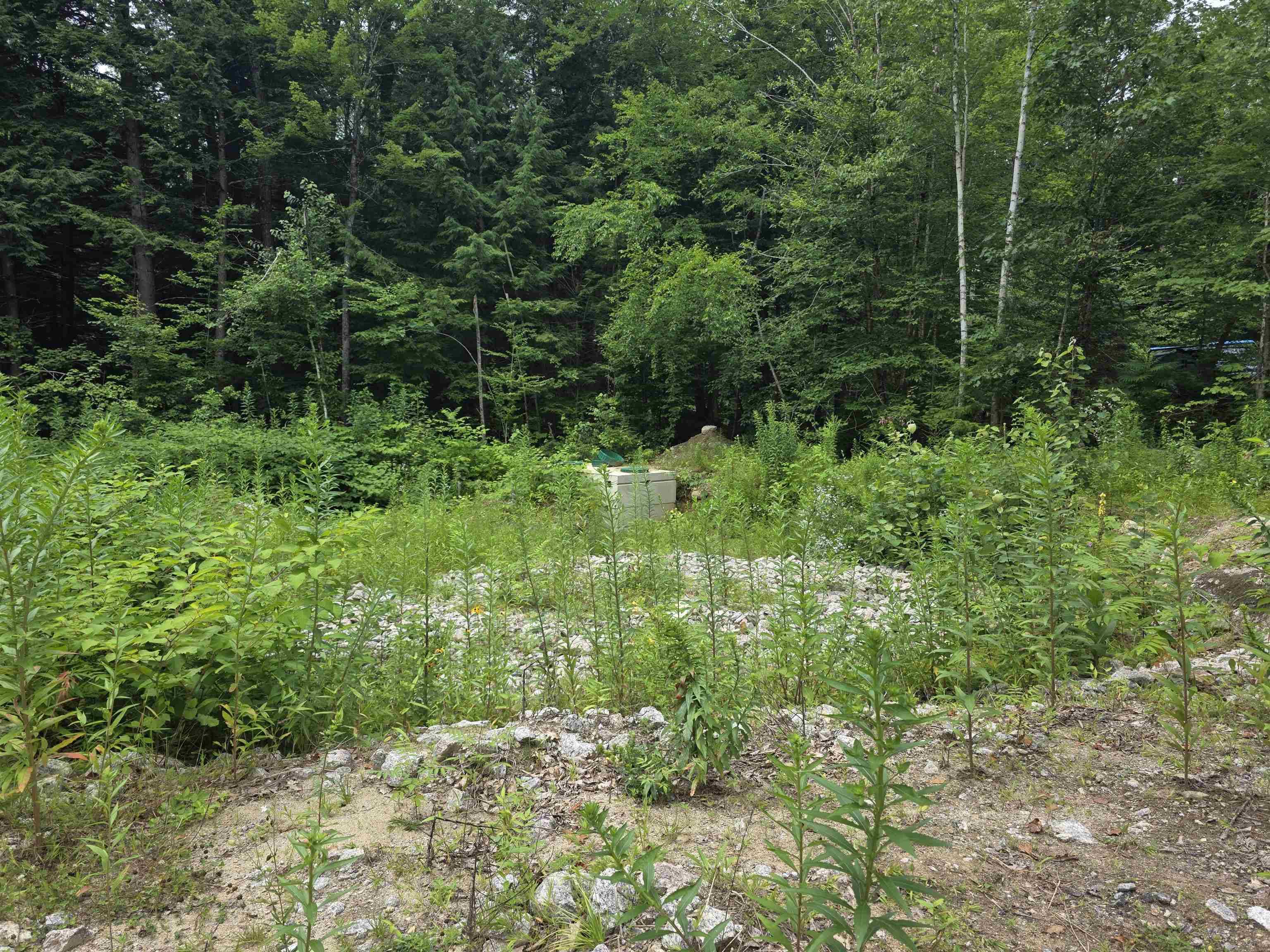 Hillsborough, NH 03244,32 Deerpoint DR