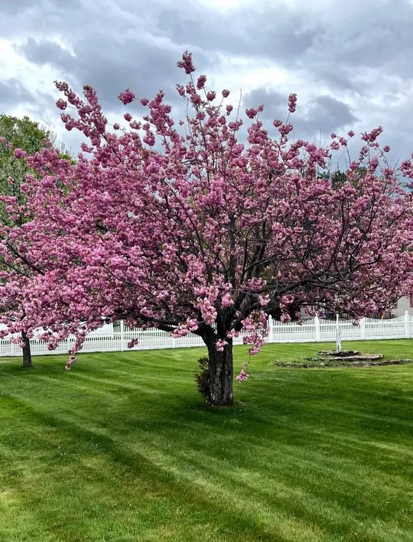 Concord, NH 03301,43 Branch TPKE