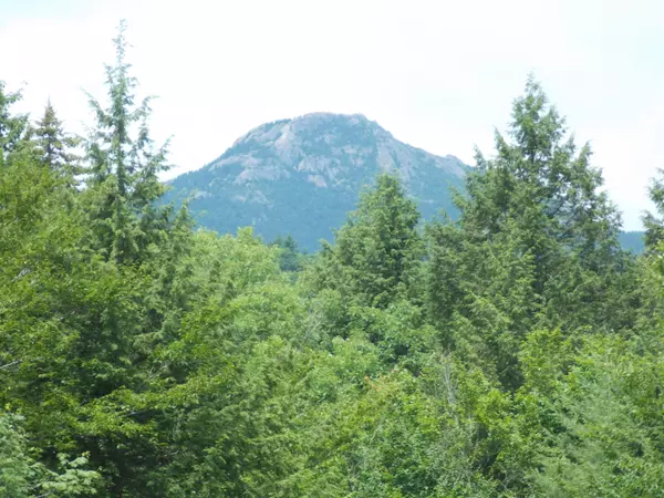 Albany, NH 03818-7426,2584 NH Route 16 HWY