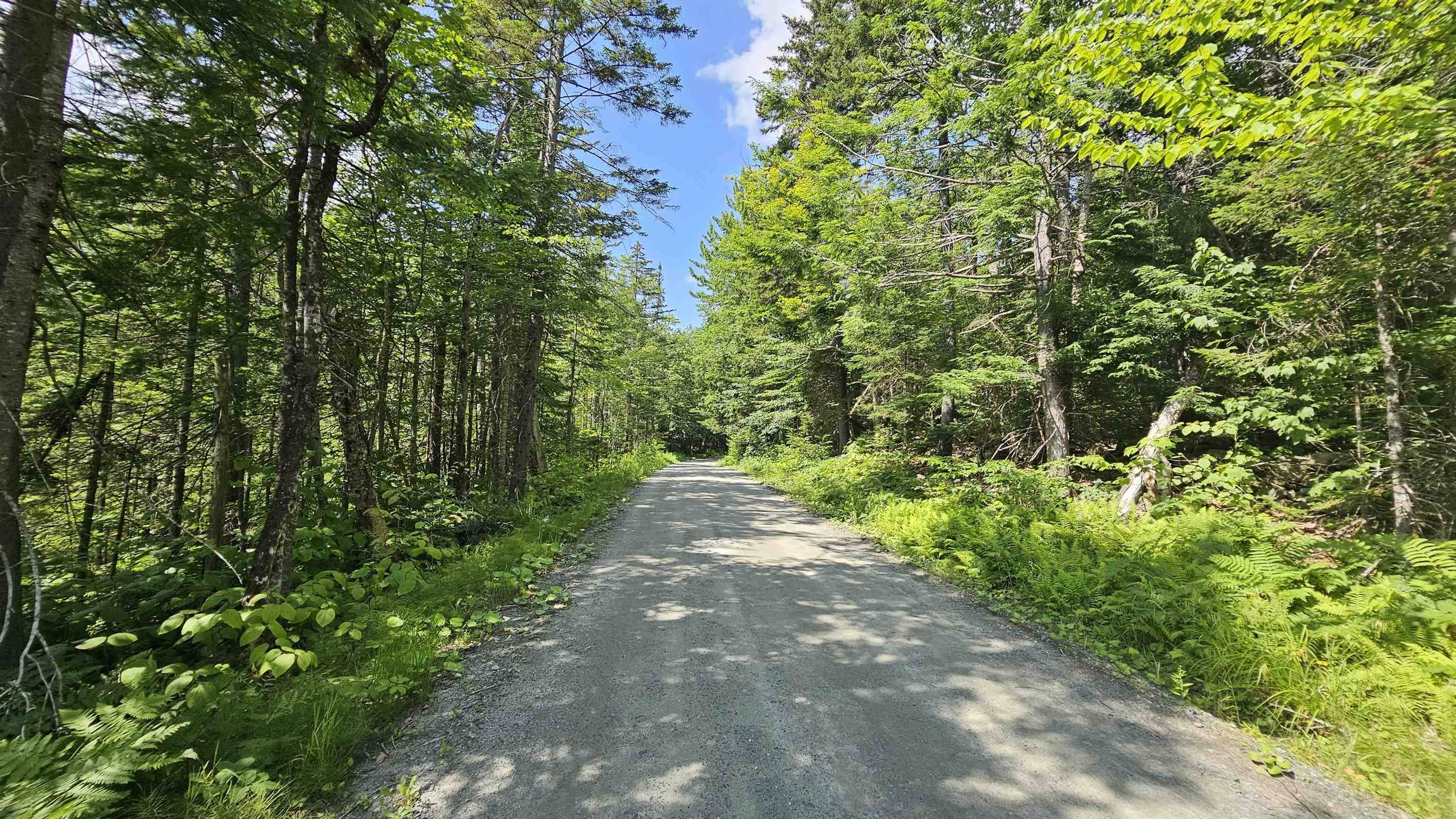 Reading, VT 05153,1718 Brown Schoolhouse RD