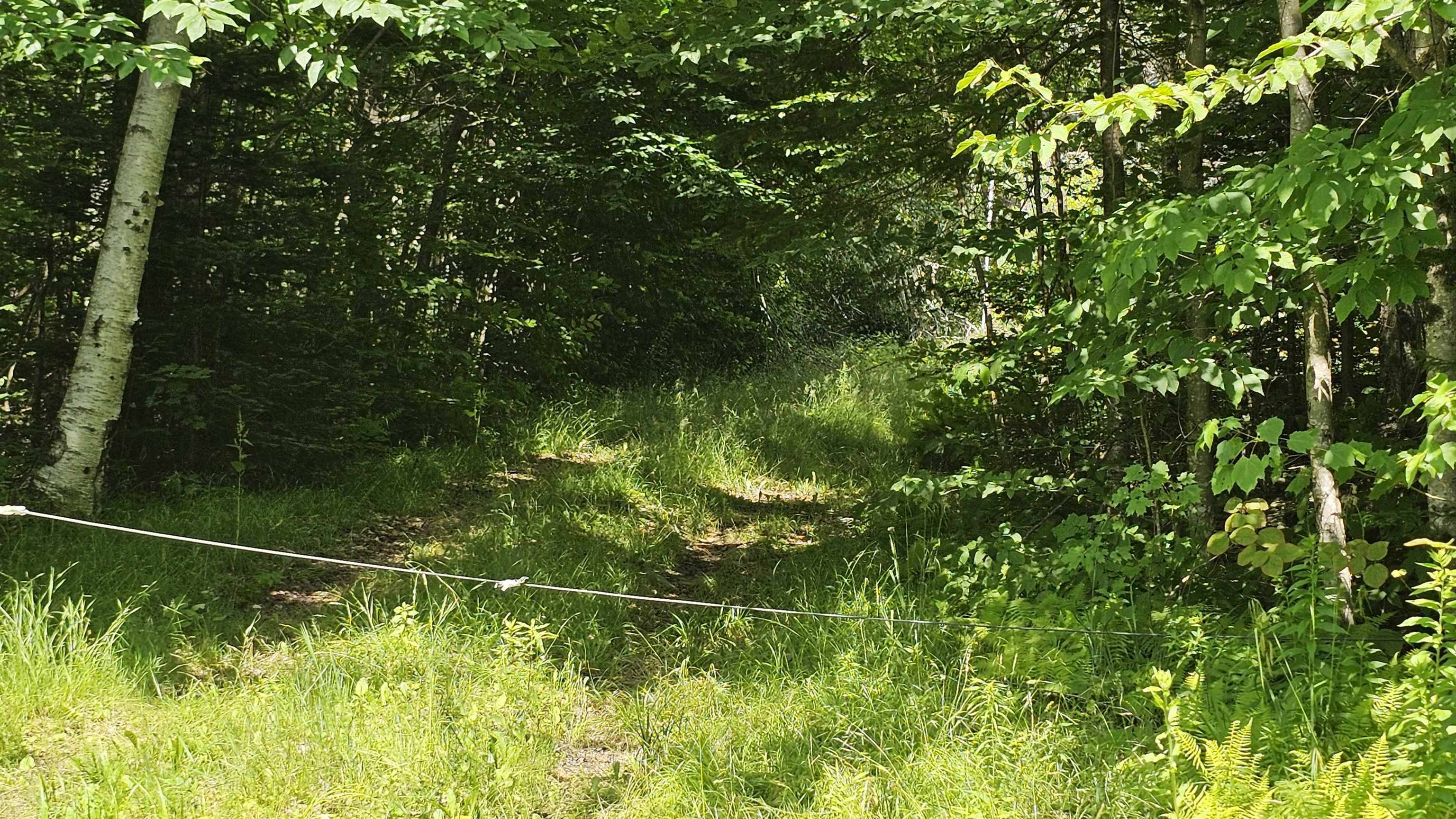 1718 Brown Schoolhouse RD, Reading, VT 05153